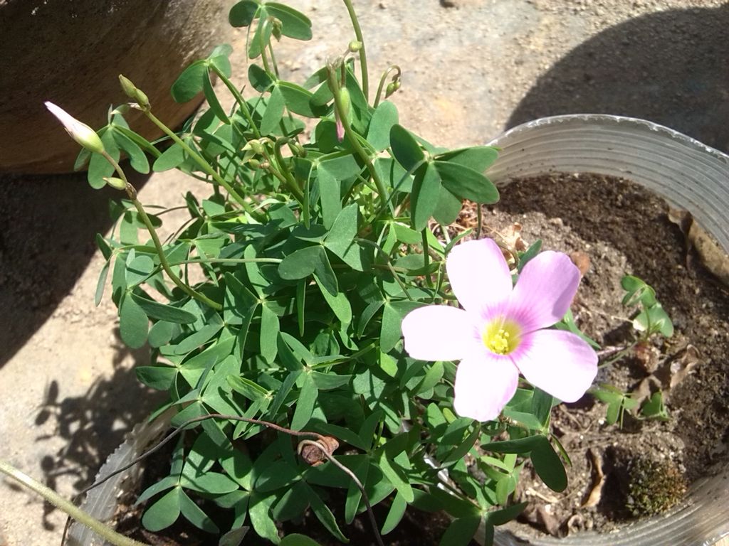 ������ 2.jpg