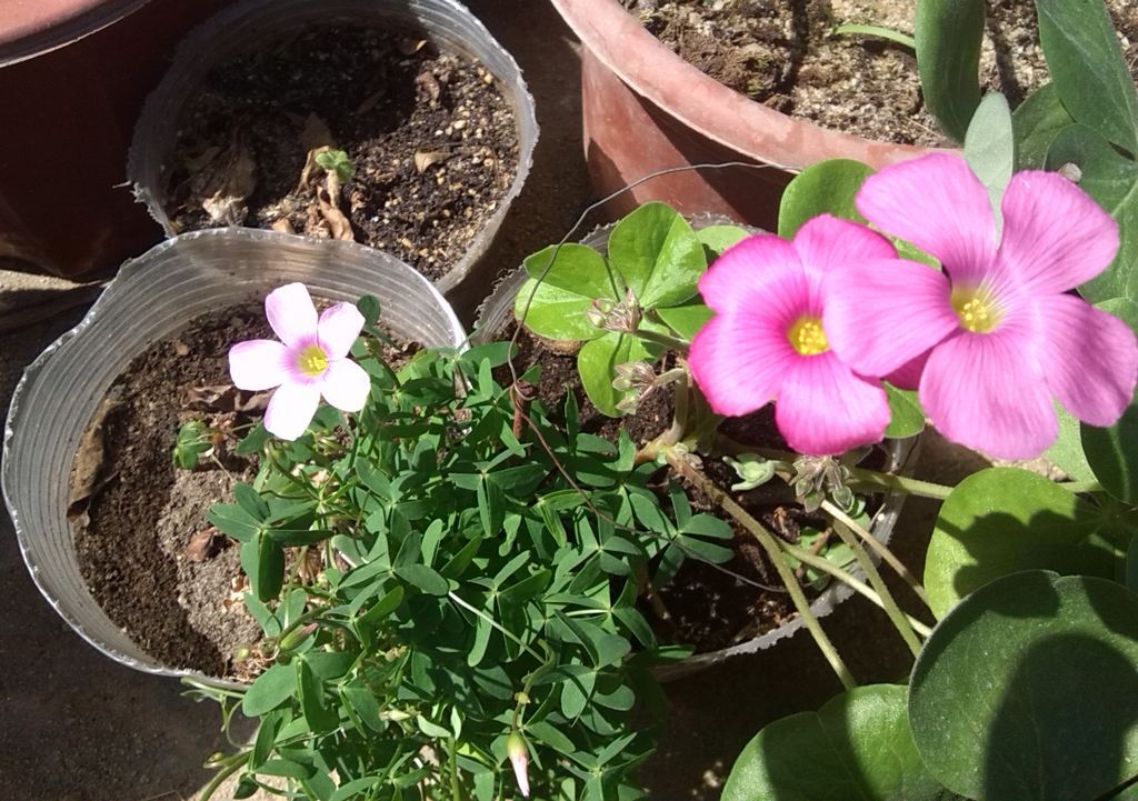 ������ �� �����3.jpg