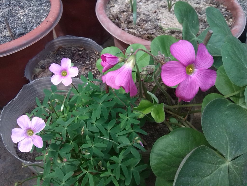 ������ �� ����� 4.jpg