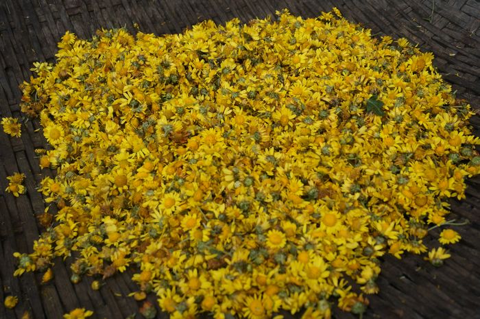 ԭ��̬��Ұ�ջ�