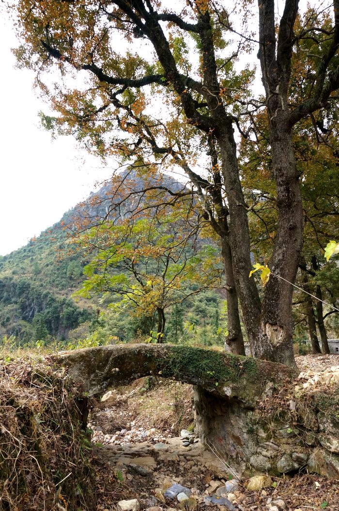 ԭ��̬������