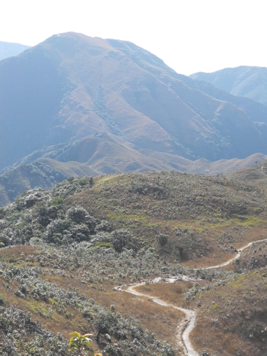 ���Ĵ����