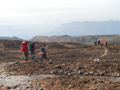 ���ֺ󴬵׶�