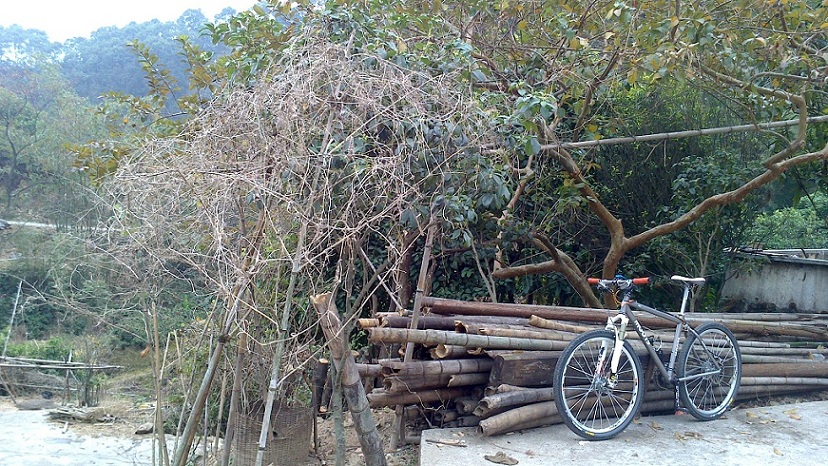 ϣ�����������Ĺ���������л�������Ʒ����