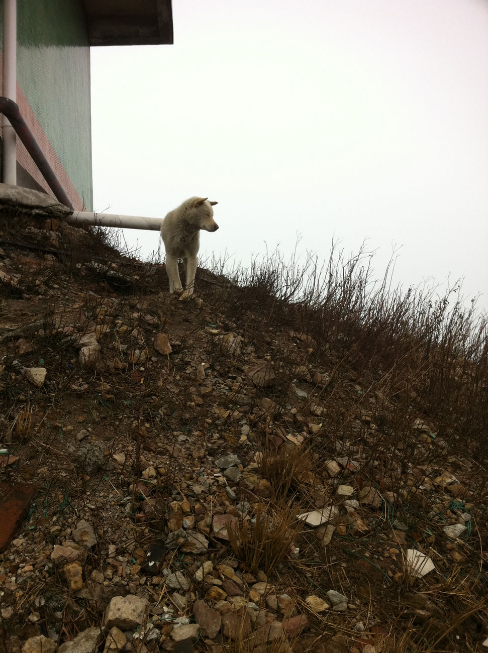 ��㱻��������ס���ܵǶ�