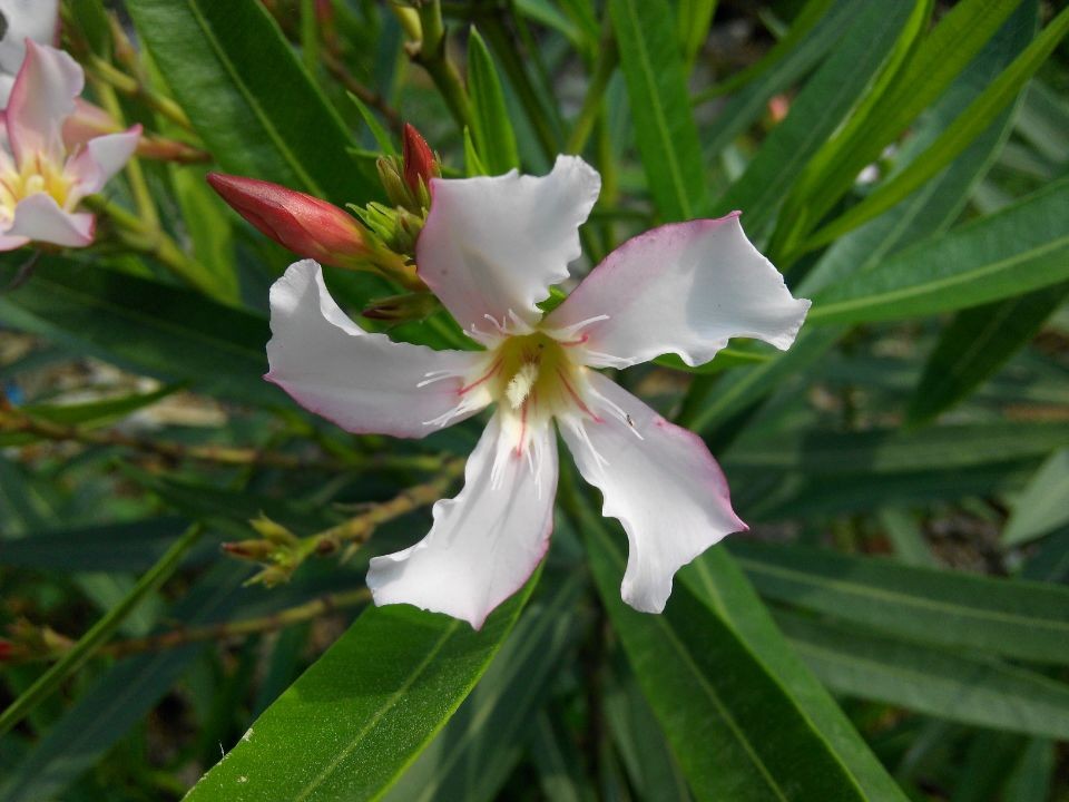 ������--�����Ļ��������ж�