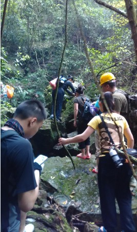 һ·϶Ƿɽˮ`һֻ߱~