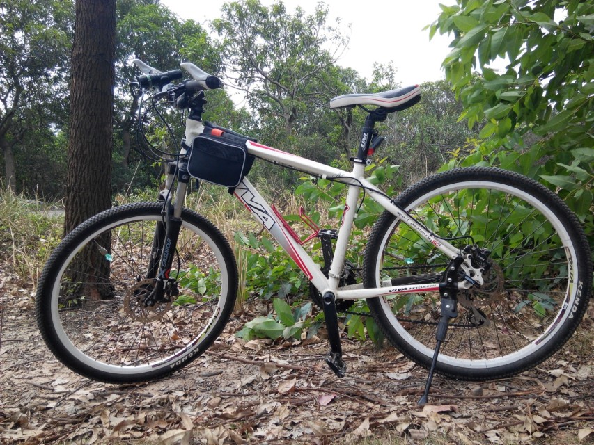 ������garden