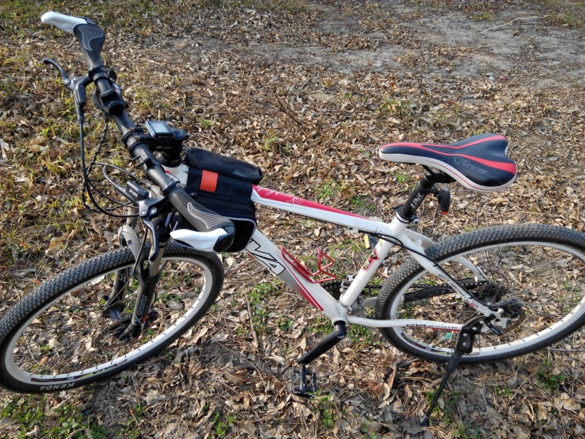 ʯ�Ǵ�̵�ĳ���ط�