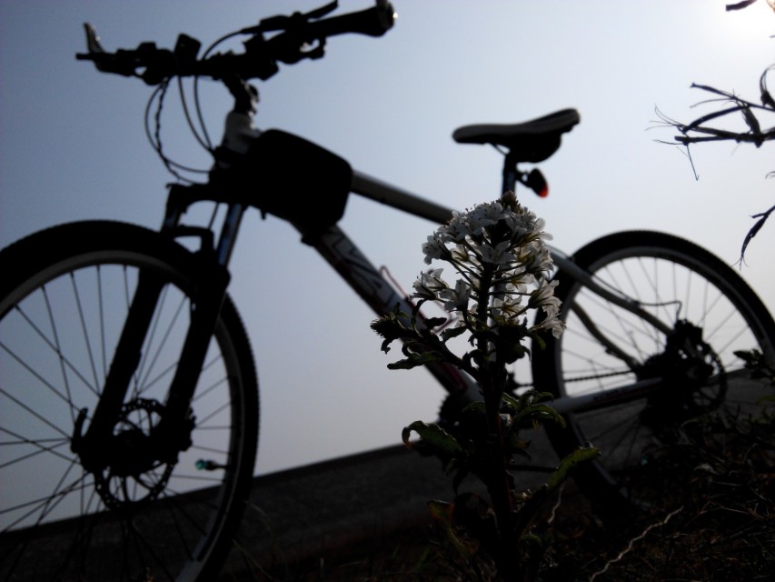 ʯ�Ǵ�̵ĵġ�ĳ���ط�