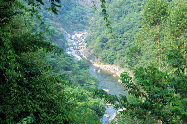 Ư���ĵط������źú���