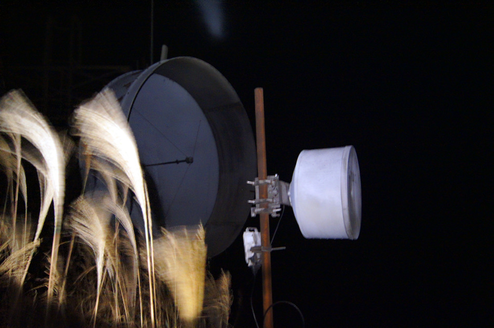 ��ʵֻ��һֻ����~~