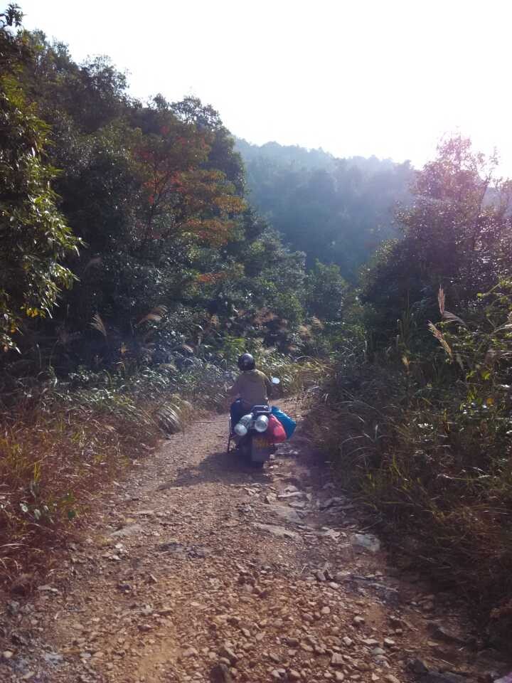 �����206������ʿ