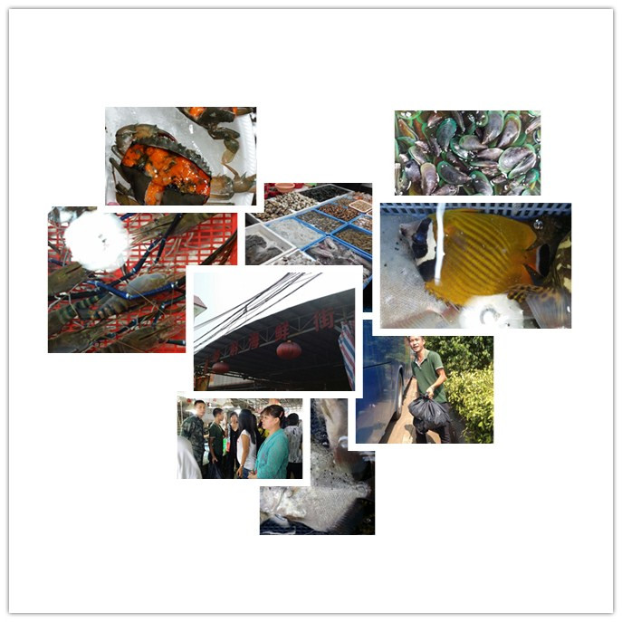 �ɹ��㣬�������ʽ�