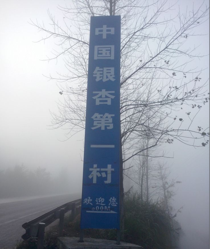 ������Ϊ������·