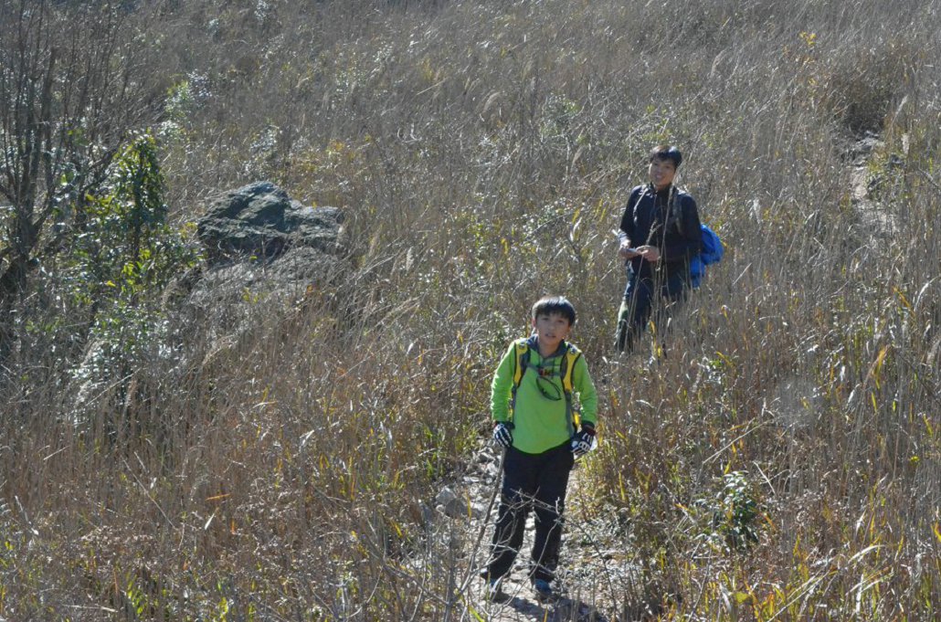 ¿��Ҫ������ץ��