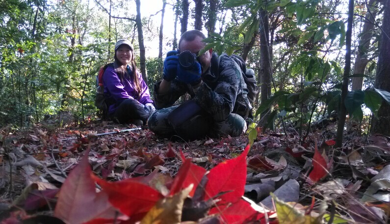 ����ʦҲ��һ��