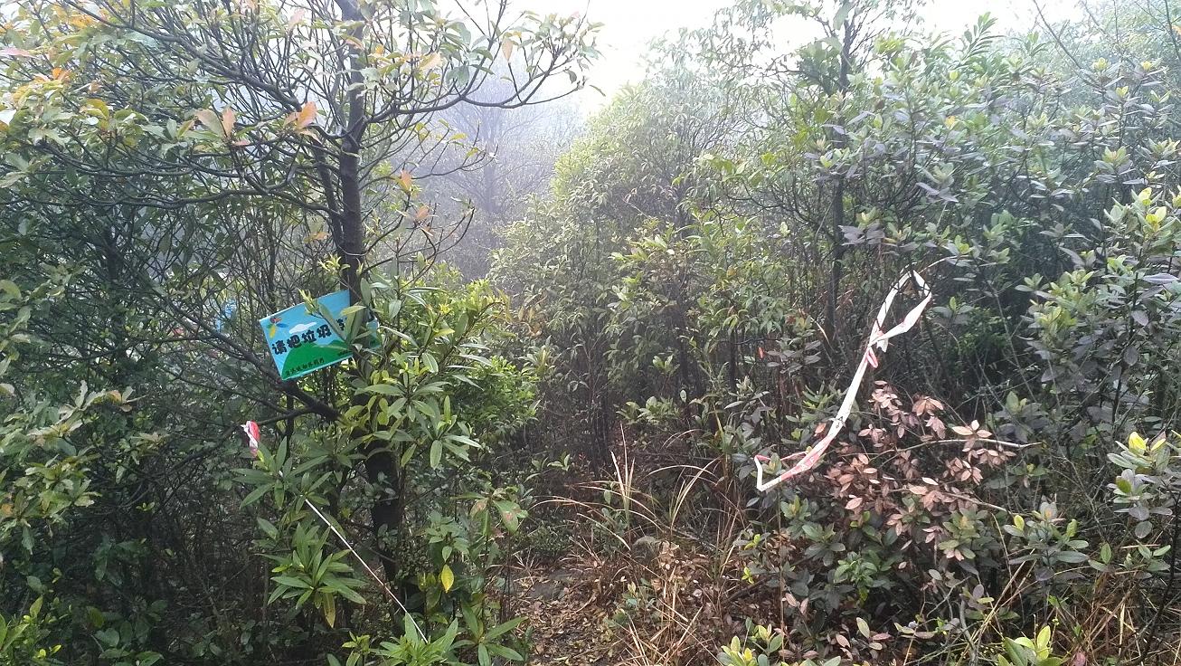 ��Ӫ�ص�·�ڣ����Ҷ������䡣�ҵ��ұ��䡣����