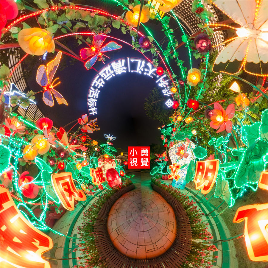 SAM_4672С���� P1500.jpg