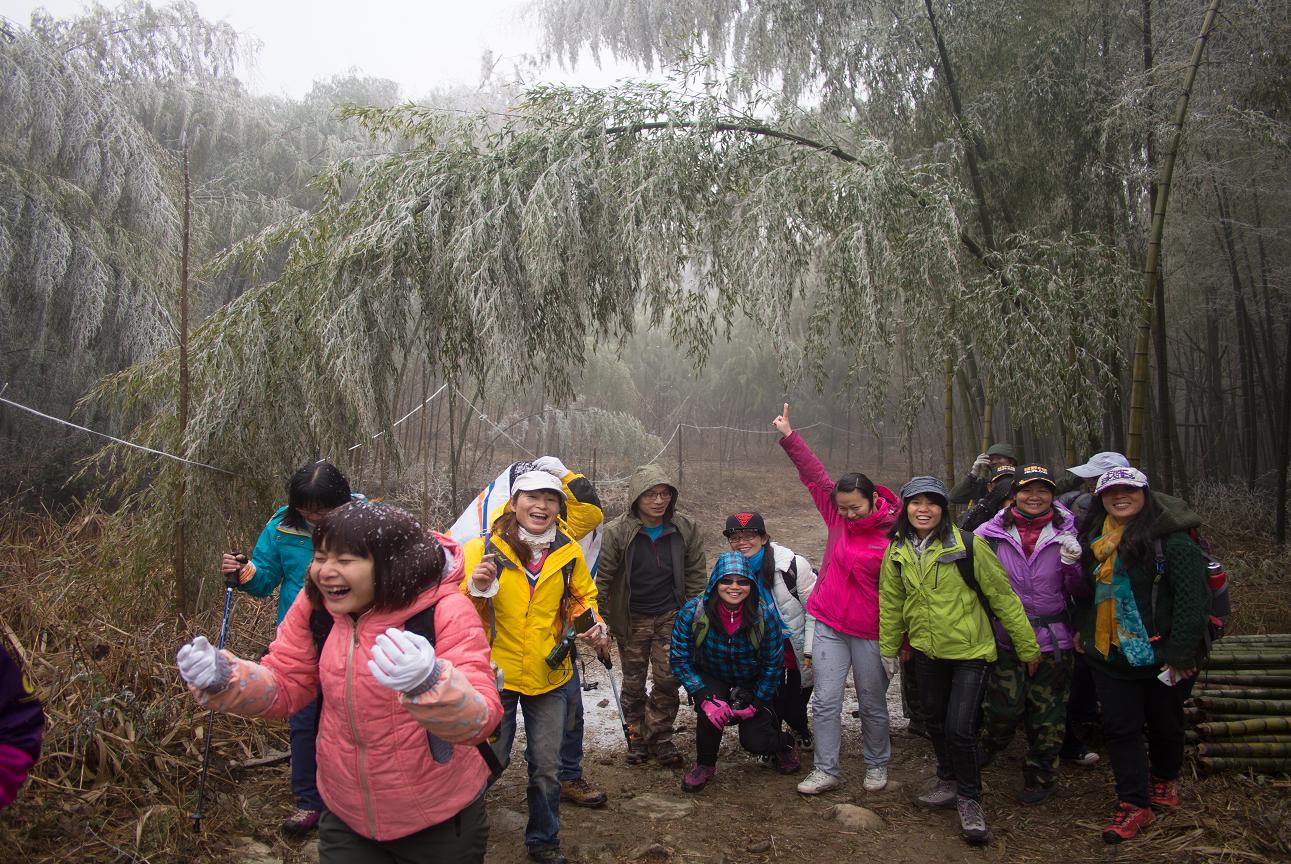 ǮǮ��ͷ����