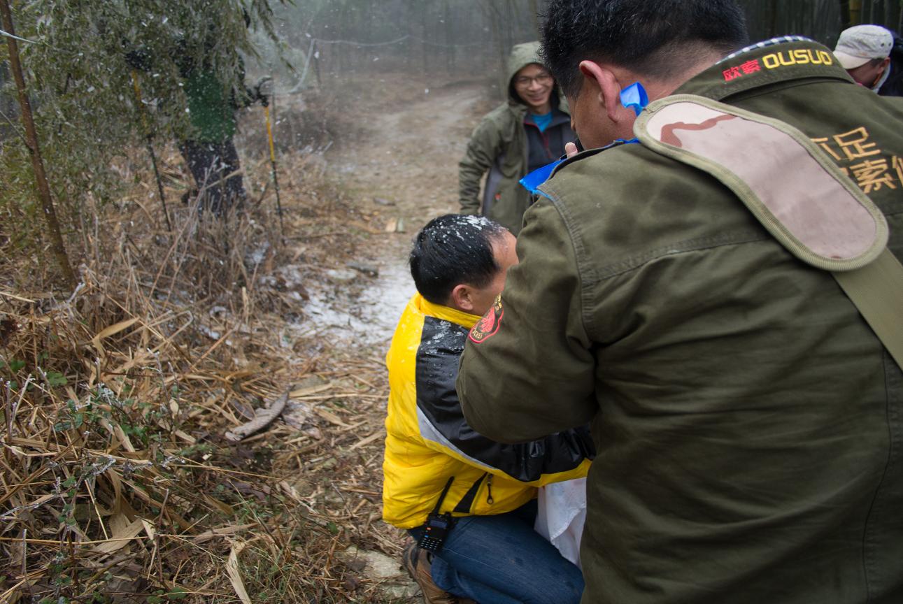 �����շ��������ȡ���