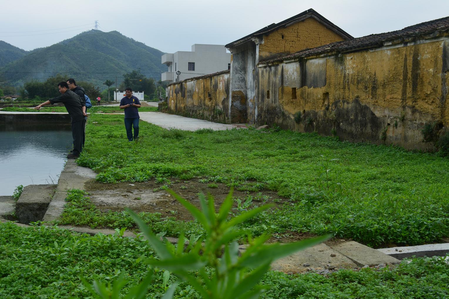 ��������ʲô����������*-*��