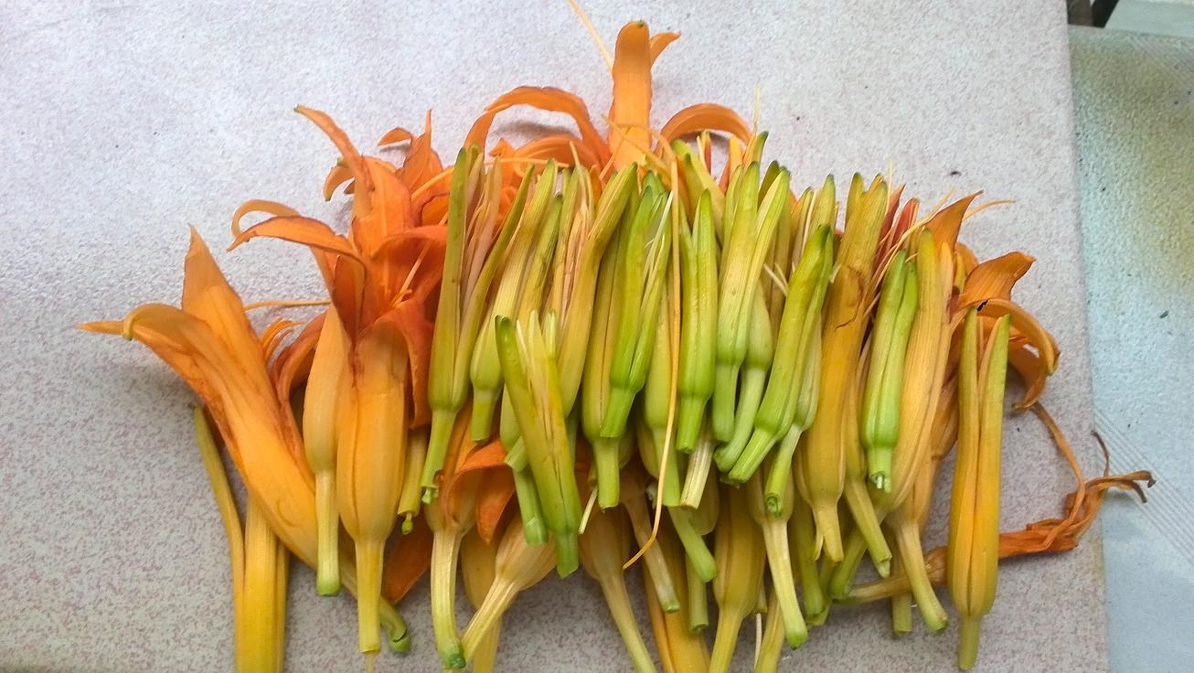 My PicturesIMG_20150729_181212.JPG