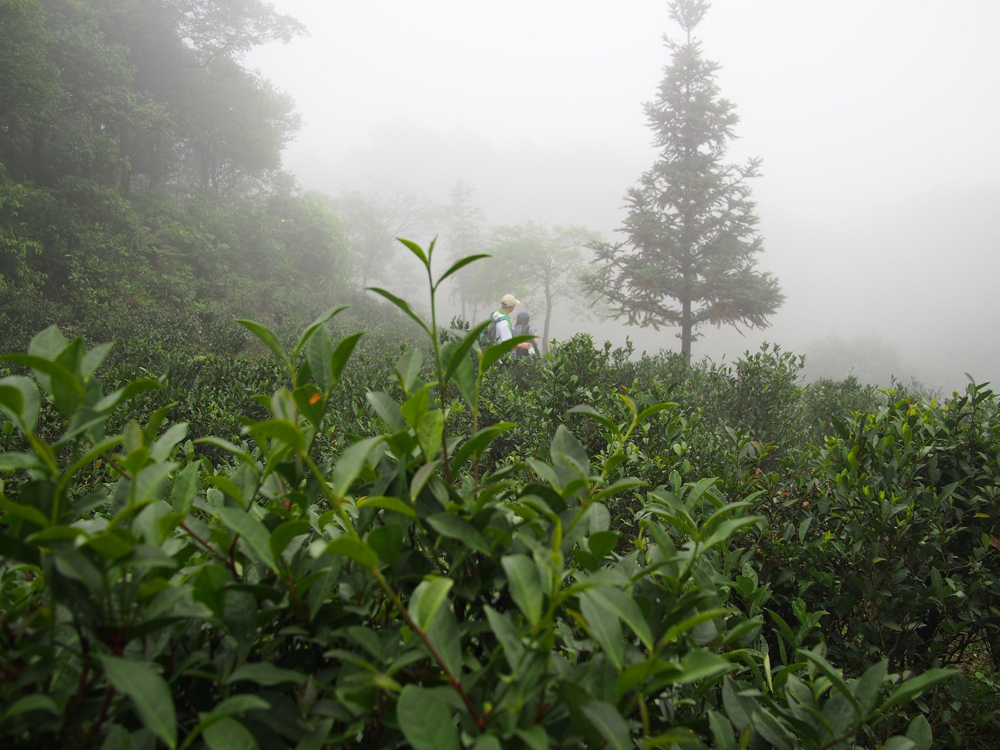 ����ƺ��أ�����Ȼ���������޹�������ũҩ���޻��ʣ����޲�Ʒ