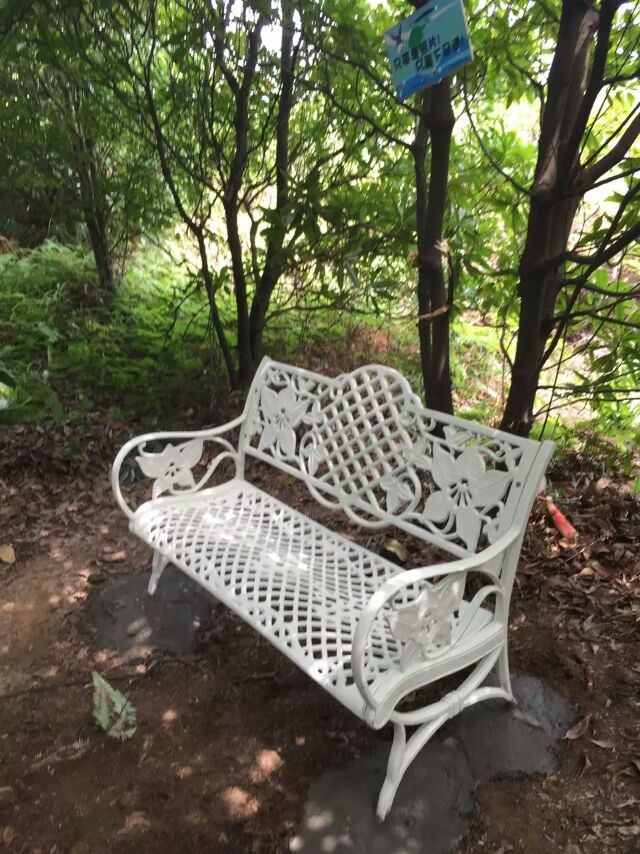 �ȹ�Ư��������