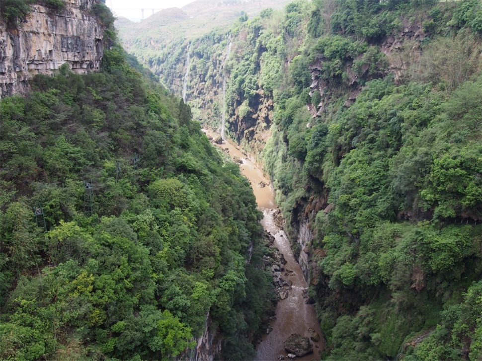 �����Ͽ��