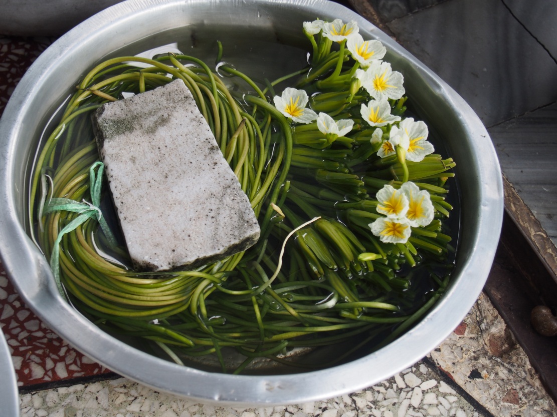 �ڴ����緹���ܶ಻֪���޼����Ĳ�