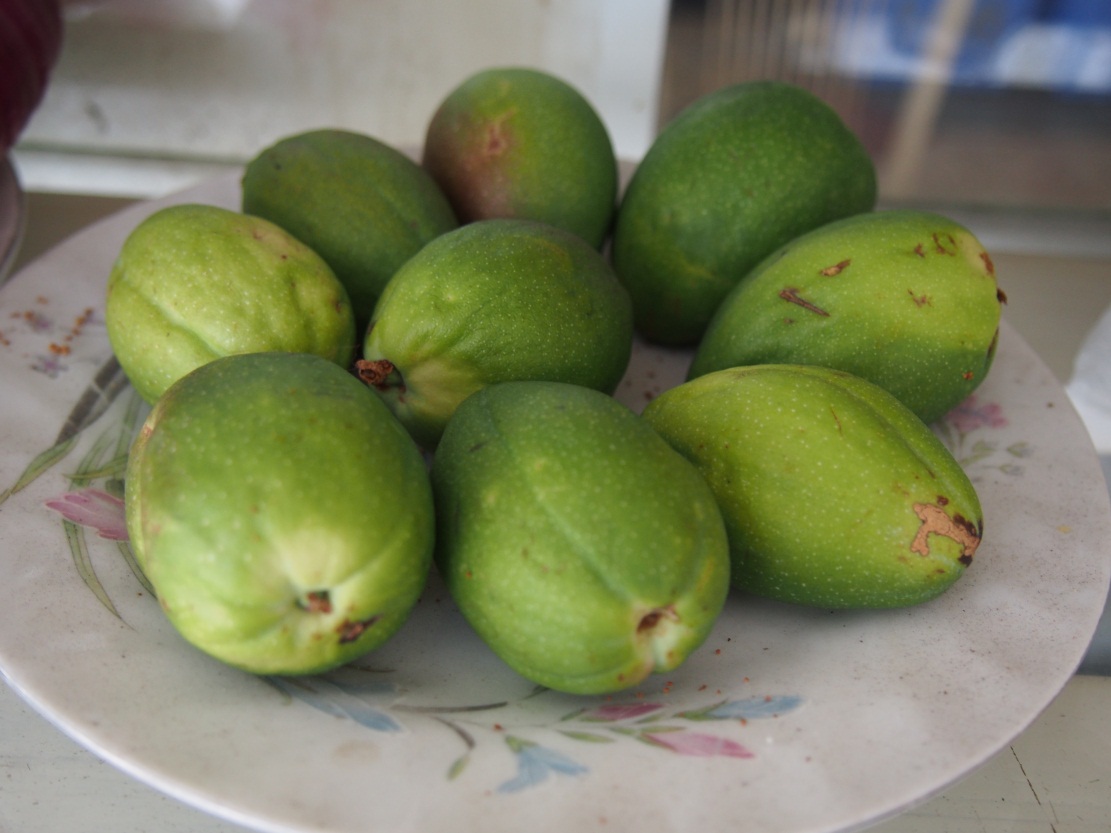 �ڴ����緹���ܶ಻֪���޼����Ĳ�