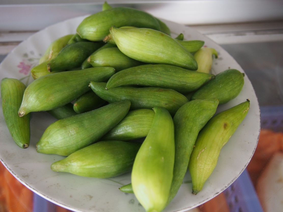 �ڴ����緹���ܶ಻֪���޼����Ĳ�