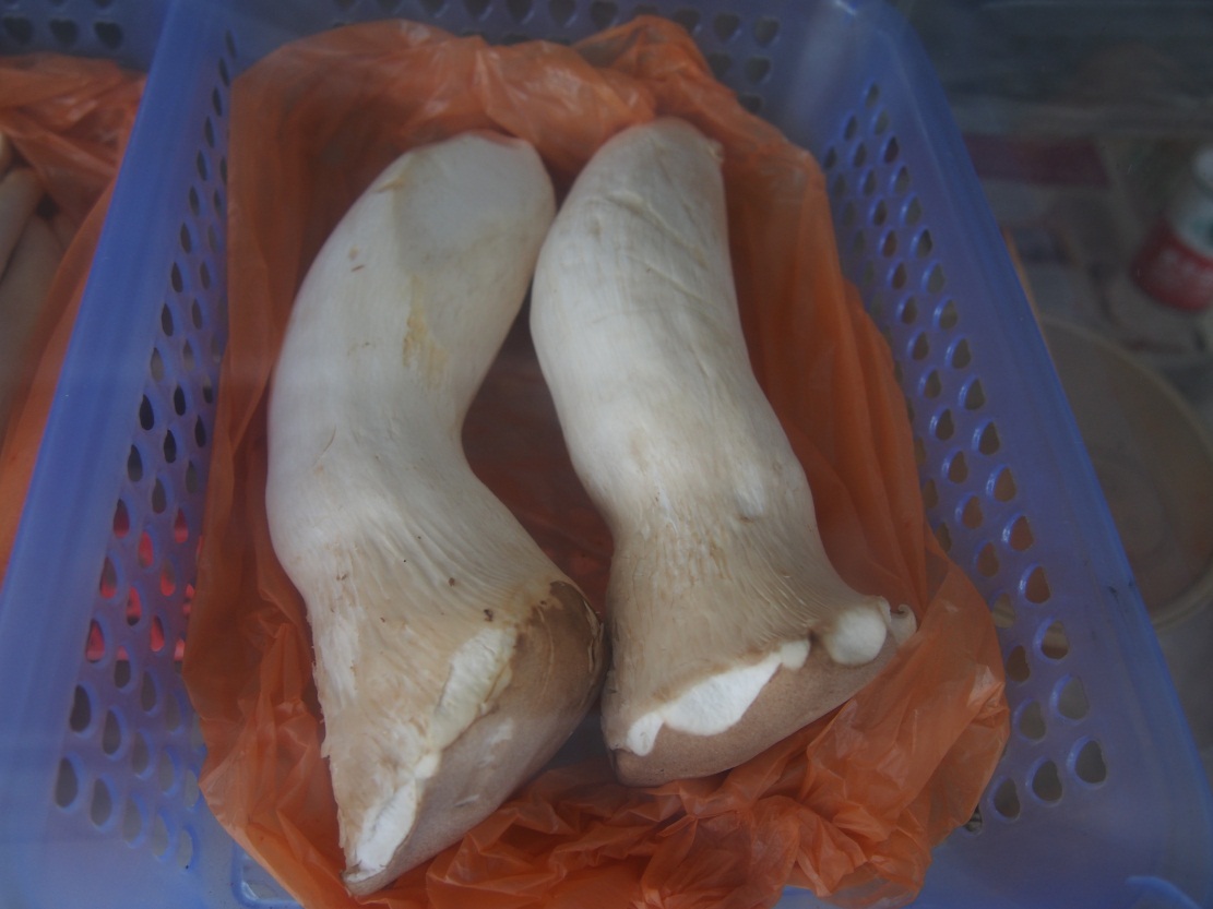 �ڴ����緹���ܶ಻֪���޼����Ĳ�