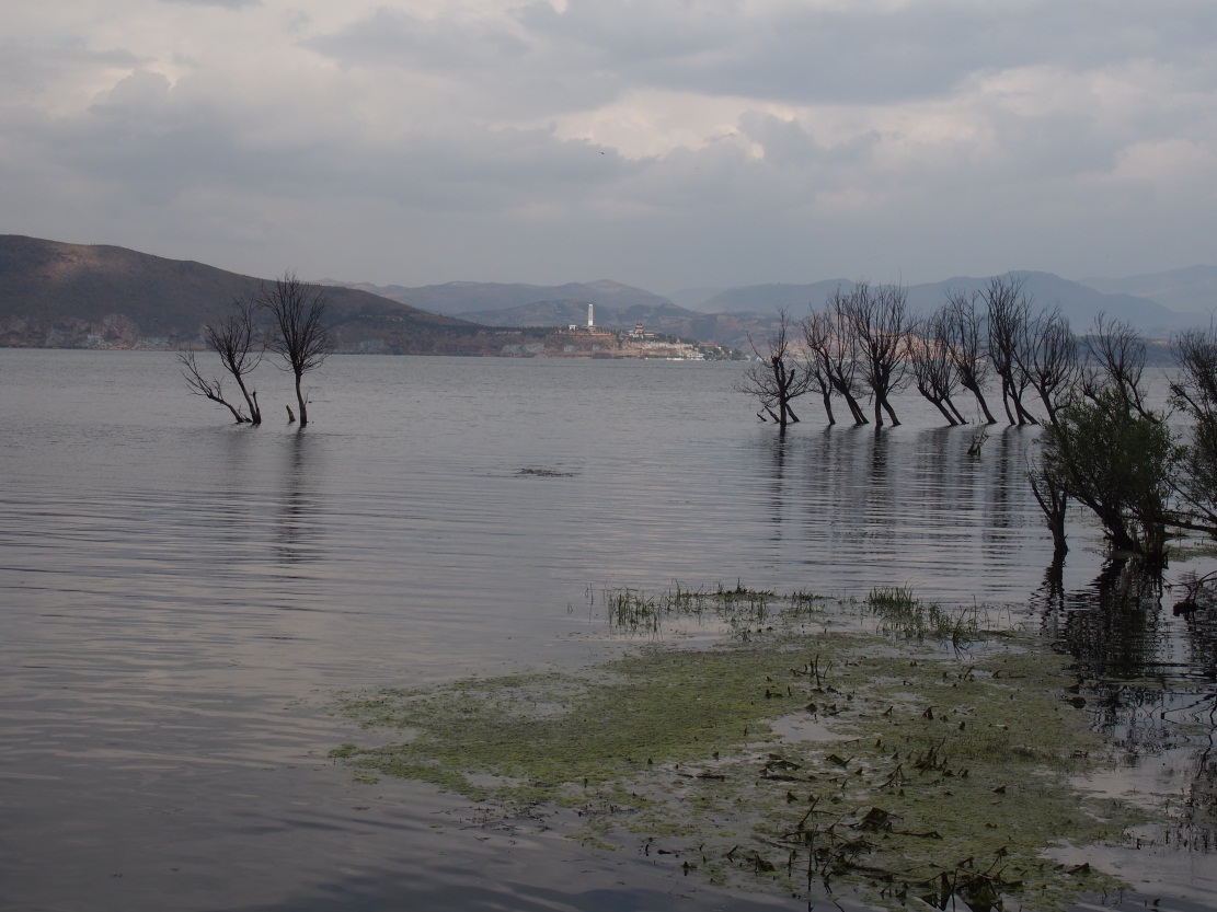 �緹������һ�ζ���