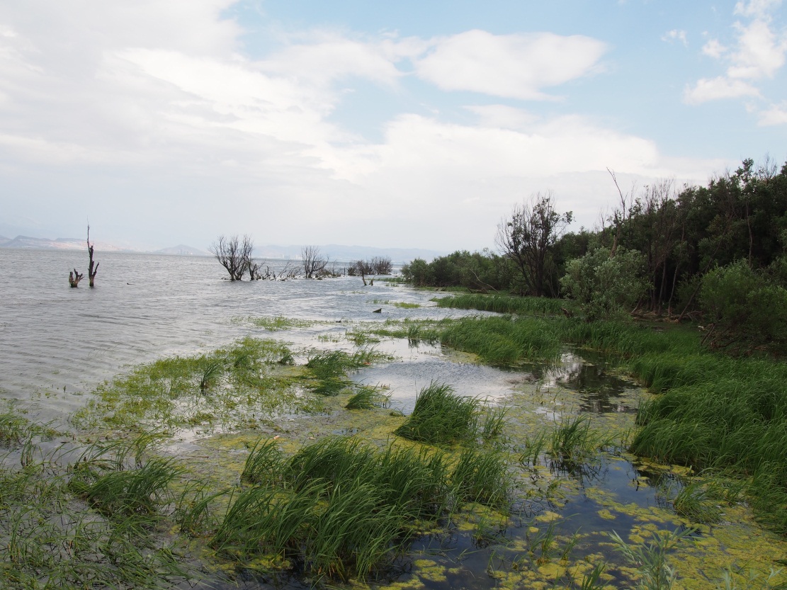 �緹������һ�ζ���