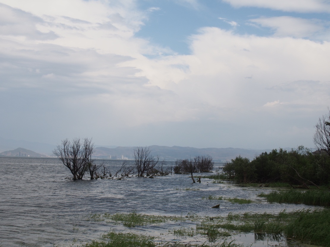 �緹������һ�ζ���