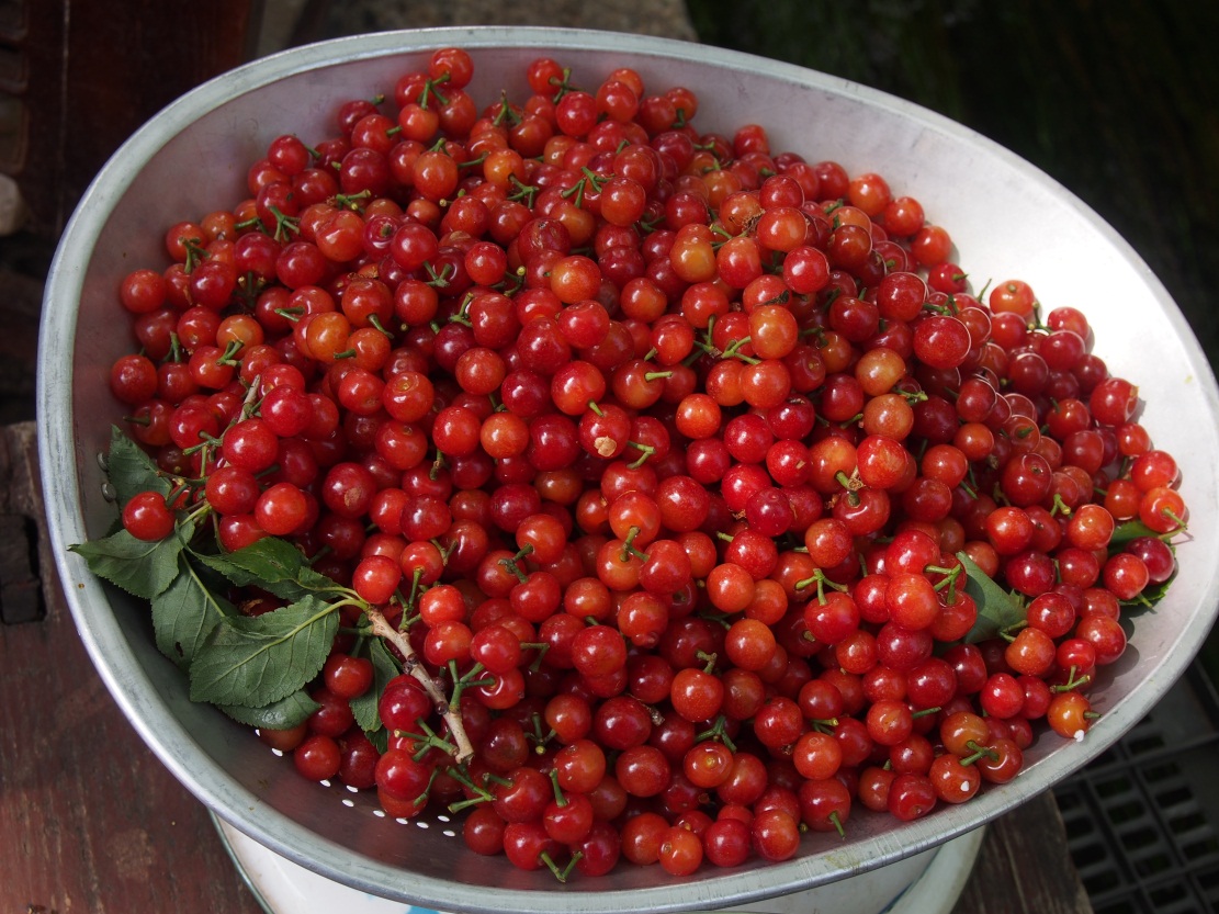 ���ӳǣ��ܰ������������˲��࣬ϲ��