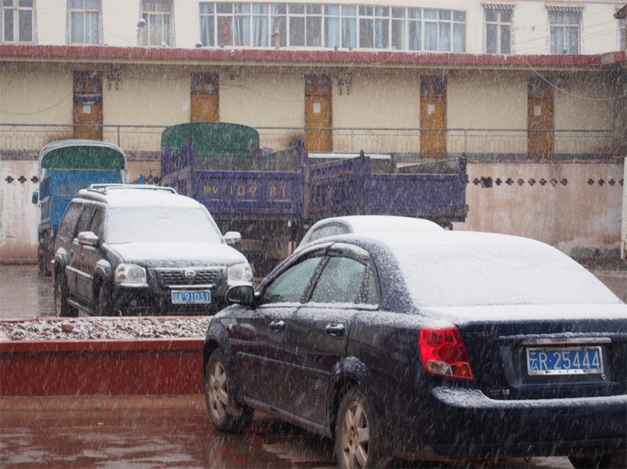 ���������������ѩ��