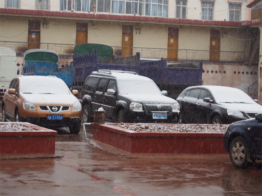 ���������������ѩ��