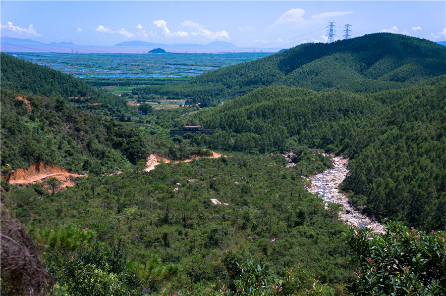 �������Ϻ�������