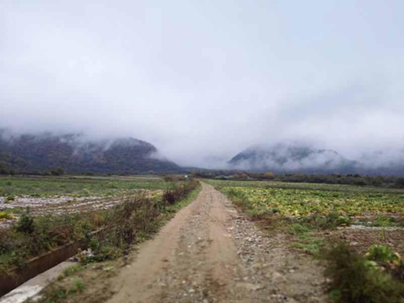 ���ڽ�ɽ����·