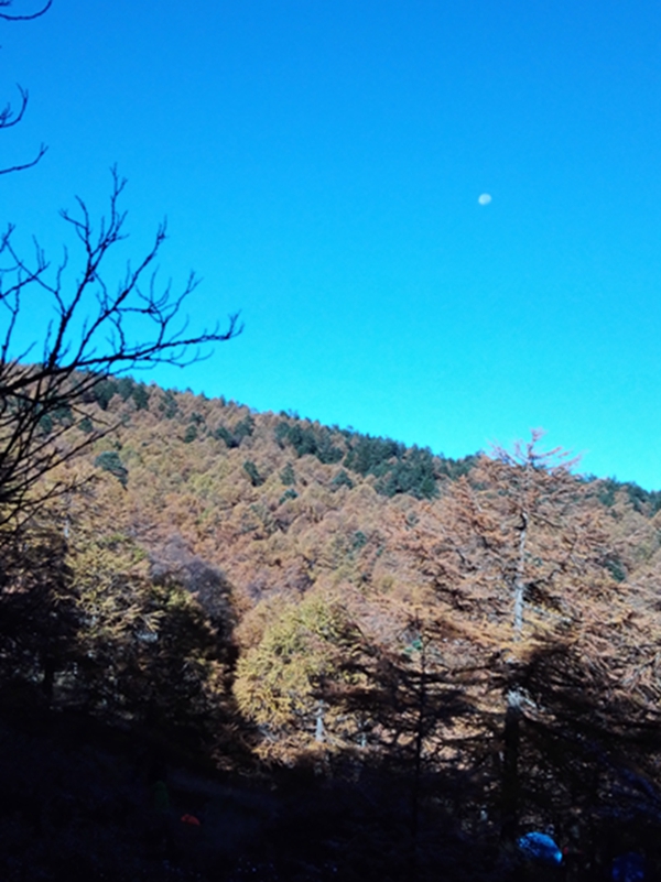 ����ͬ��