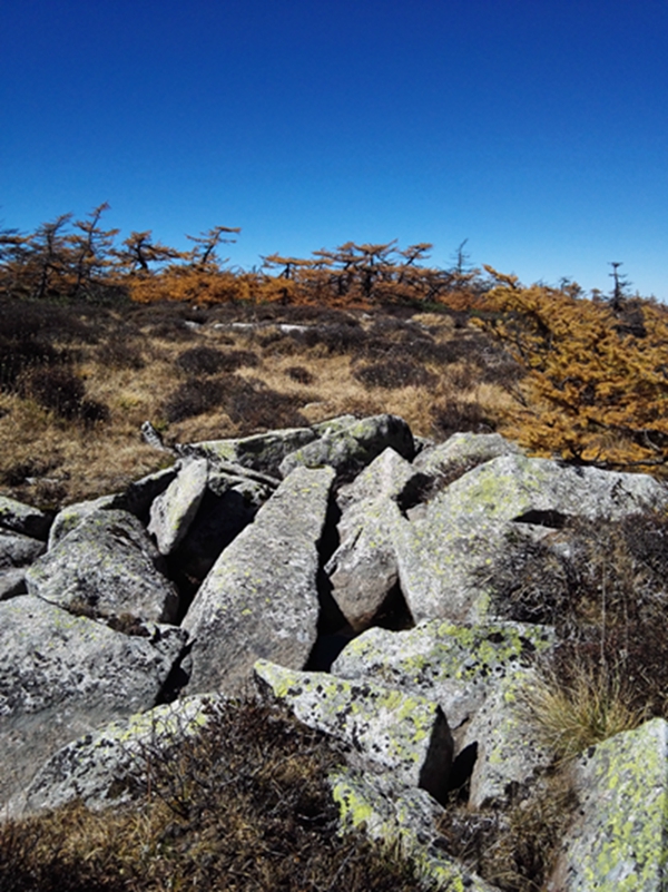 ˮ���ӣ�ˮԴ��ʯͷ����