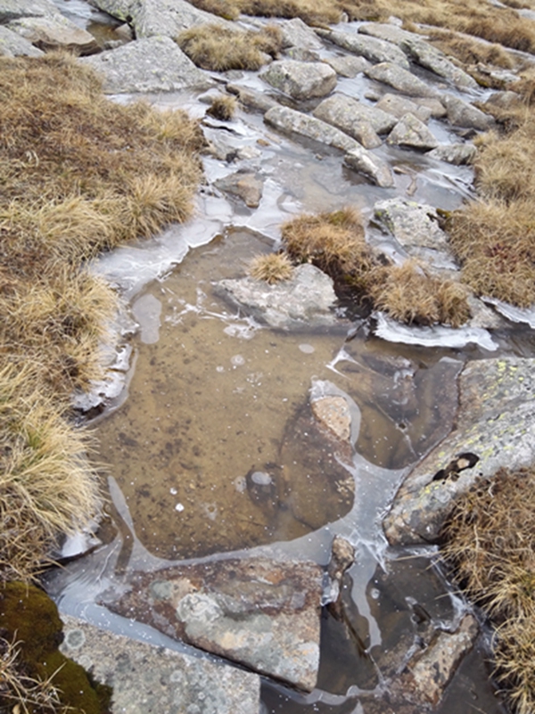 ��С������