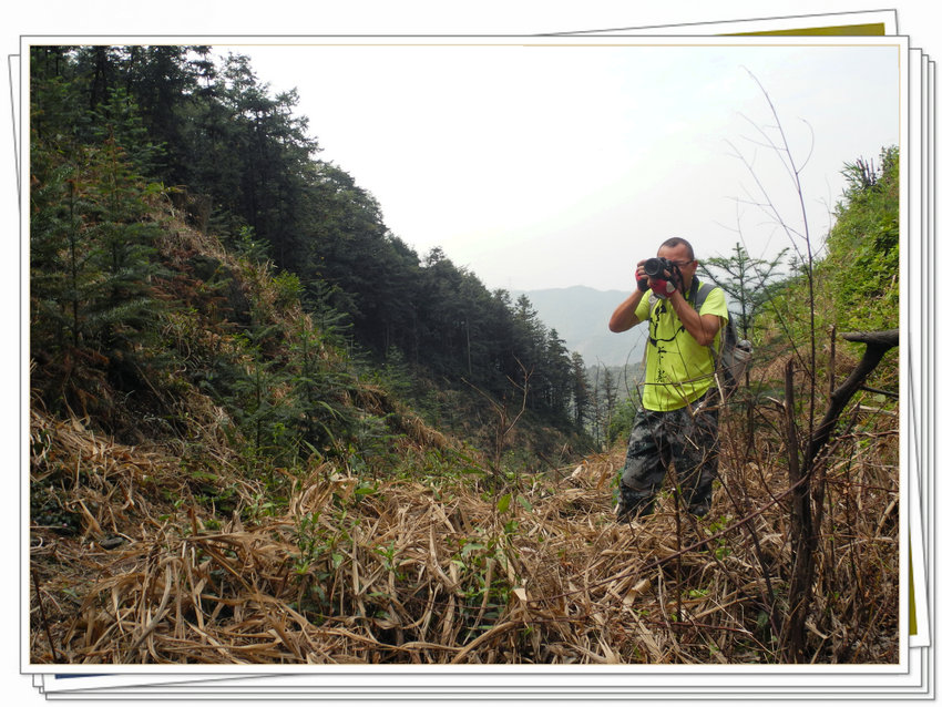 ������ʯ