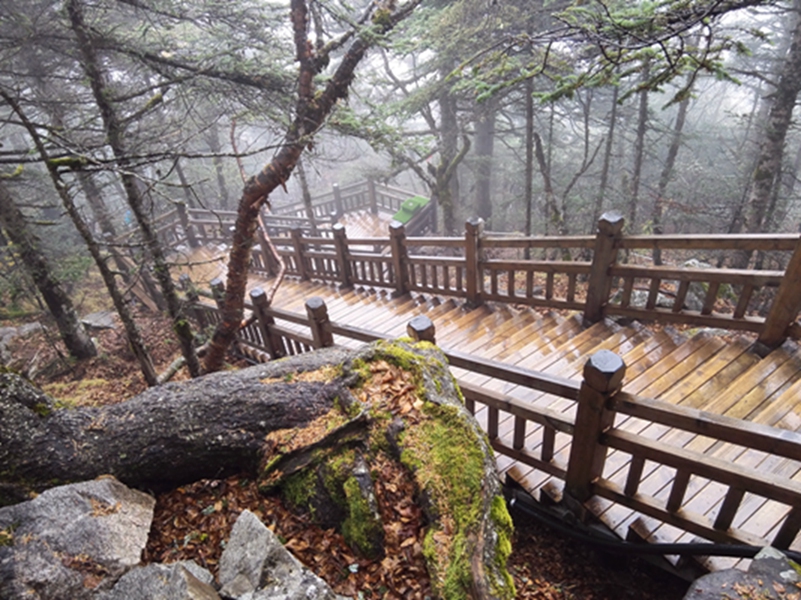 ����ջ��