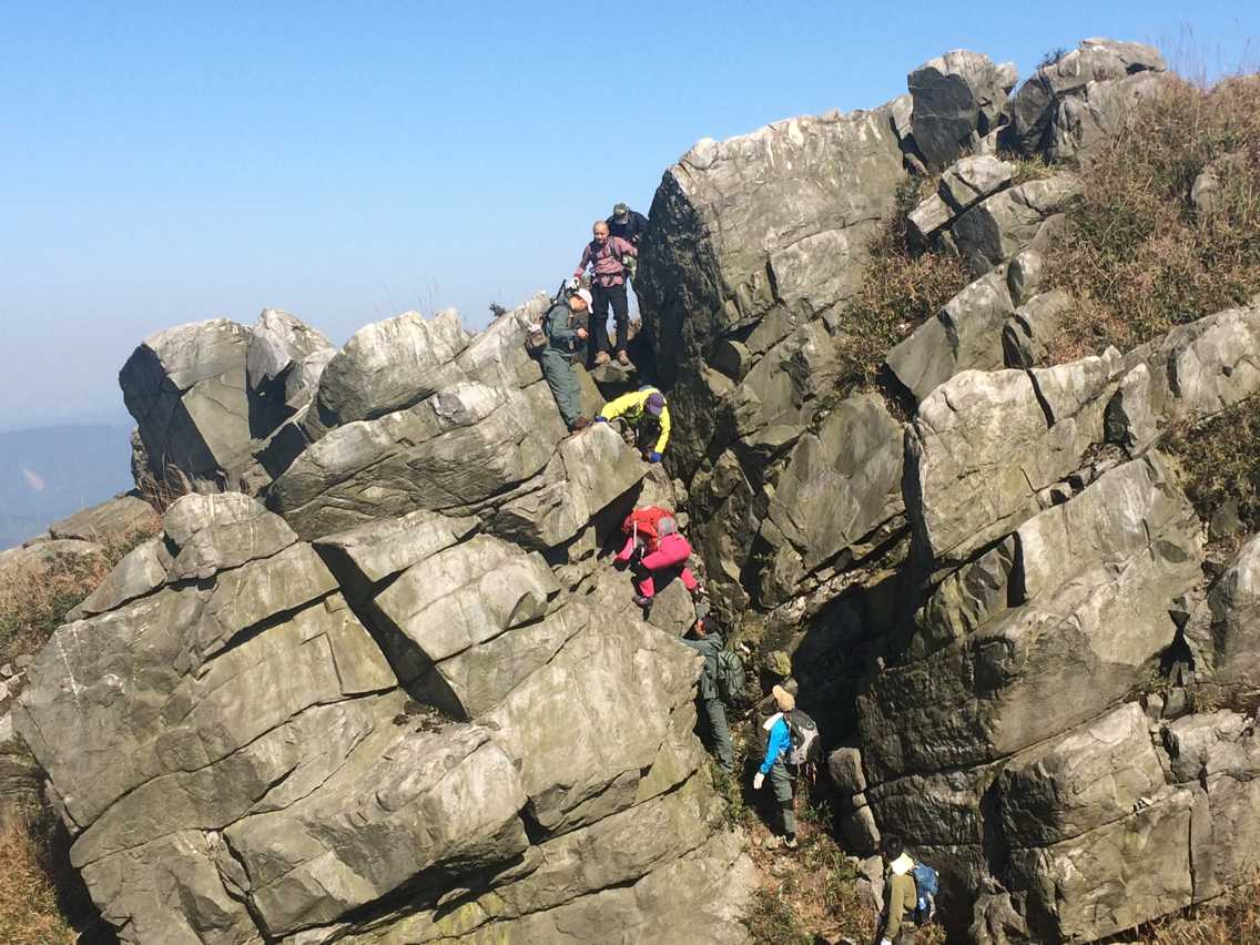 ��Խʯ�壬��Ҷ�����Ĭ����