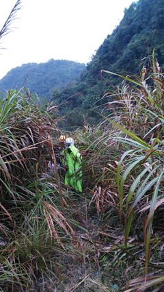 ·�Ͼ�������