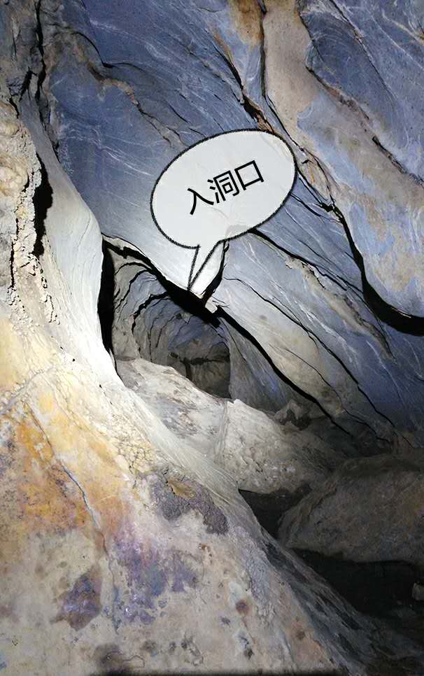 ��խ���붴��